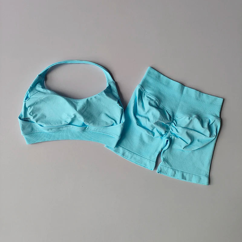 2 Piece Yoga Suit for Women Seamless Fitness Gym Outfit