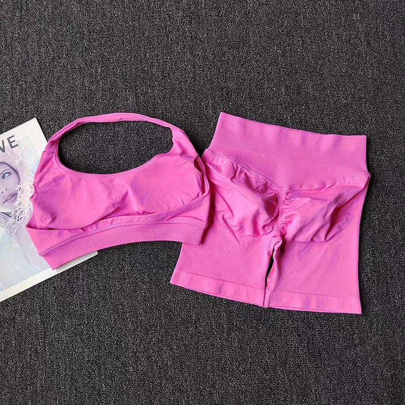 2 Piece Yoga Suit for Women Seamless Fitness Gym Outfit