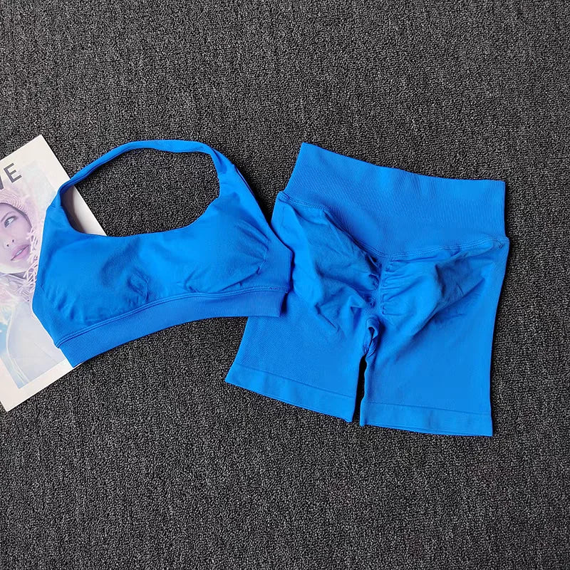 2 Piece Yoga Suit for Women Seamless Fitness Gym Outfit