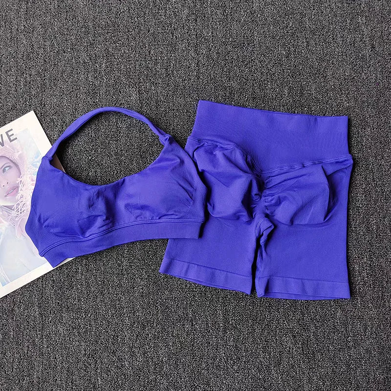 2 Piece Yoga Suit for Women Seamless Fitness Gym Outfit