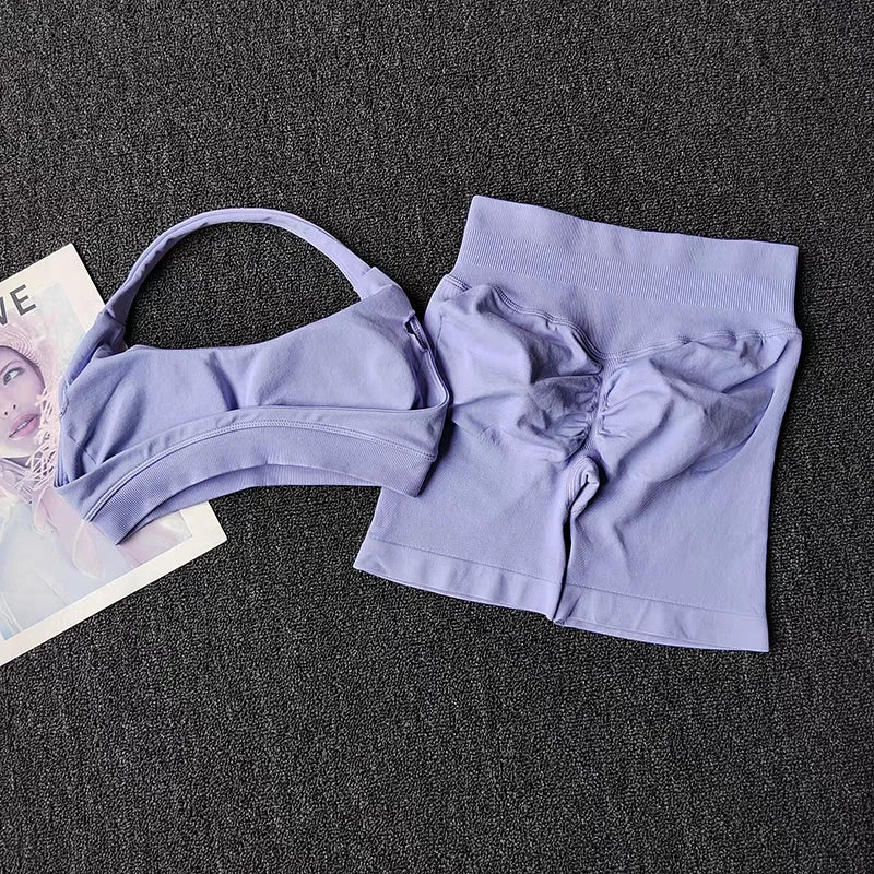 2 Piece Yoga Suit for Women Seamless Fitness Gym Outfit