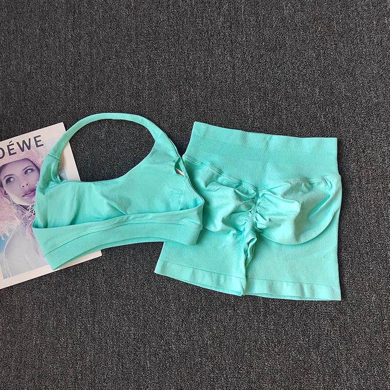 2 Piece Yoga Suit for Women Seamless Fitness Gym Outfit